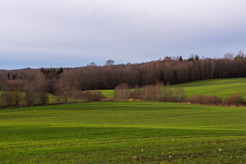 Fototapeta premium Spring in the Latvian countryside