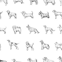Dog breed set, seamless pattern design, hand drawn vector illustration, black sgape on transparent background