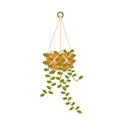 macrame hangers for plants growing in pots, macrame plant hanger, hanging plant, planter, boho deco, flat illustration of a plant