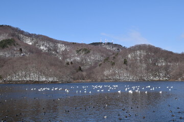 大山上池・大山下池 ラムサール条約登録地 ／...