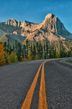 Road leads into mountains, summer