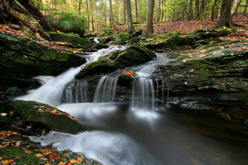 Waterfall in autumn woods