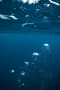 Trapped air rising towards the water's surface, open ocean