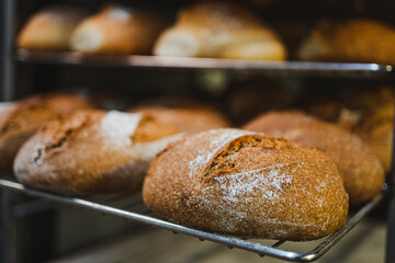 Close up shot of bread cooling in metal stainless rack in bakery
