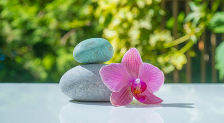 Naklejka na ściany i meble spa still life with orchid and zen stone