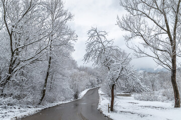A road through a winter landscape with snow-covered trees.