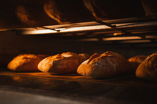 Close up shot of crunchy breads baking in a industrial oven