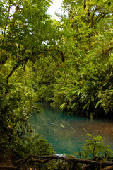 blue river in forest