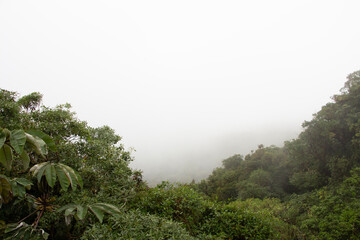 morning in the mountains