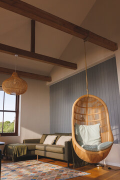 General view of luxury living room interior with sofa and hanging basket chair