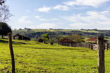 rural landscape, with barn and horses, in Brazil
