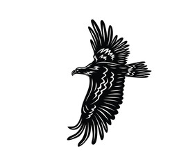 Eagle Icon Silhouette, art vector design