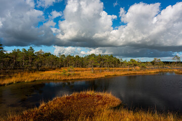 Summer Landscapes of Swamp Lakes with Clouds