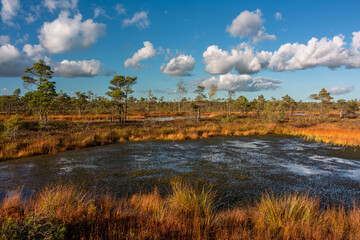 Summer Landscapes of Swamp Lakes with Clouds