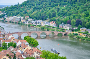 Naklejka premium Bridge over the Neckar