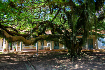 Parque Vicentina Aranha, in Sao Jose dos Campos, Brazil. Chapel and Old Sanatorium.