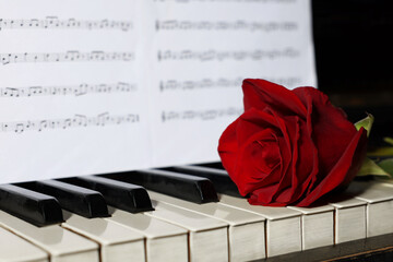 Beautiful red rose and musical notes on piano, closeup. Space for text