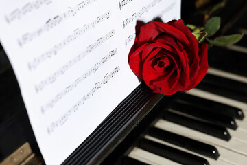 Beautiful red rose and musical notes on piano, closeup