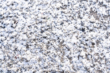 雪が覆いかぶさった砂利