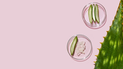 aloe vera and cosmetic ingredients, aloe petri dishes, cosmetic research, sliced aloe, aloe juice, gel, cream, on a pink background