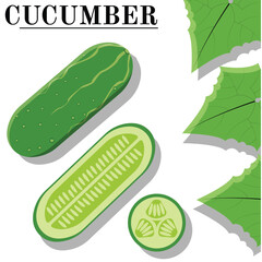 vector set of cucumber with green color, for teaching, illustration, banner, flyer, and other comercial use