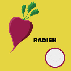 vector set of radish with green color, for teaching, illustration, banner, flyer, and other comercial use
