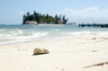 White sand beach of Guna Yala Island