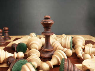 The black queen is standing on the chessboard, and the other pieces are lying. The concept of...