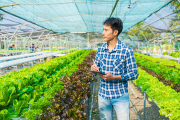 smart young Asian farmer records the quality and quantity of an organic hydroponic vegetable garden.