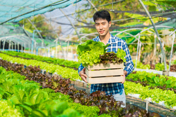 smart young Asian farmer records the quality and quantity of an organic hydroponic vegetable garden.