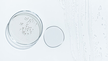 Petri dish, gel, flask, crystallization bowl. Seeds, eggs, bacteria. Laboratory. View from above. Medicine, gel texture, white, pipette, samples, research. Material collection. Glass baguette.