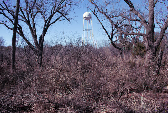 A tall white water storage tank in the middle of a dry draught stricken forest located at Abilene State Park in Texas