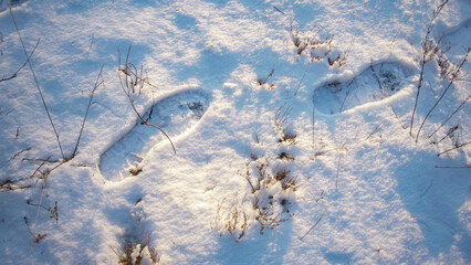 Fototapeta na wymiar Footprints in the snow