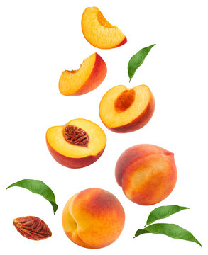 Levitating peach isolated. Composition of peaches, peach halves and slices with green leaves on a white background.