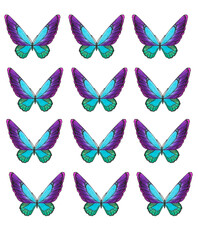 Set of tropical blue purple colorful butterflies for print