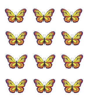 Set of tropical yellow-red butterflies with black veins for print