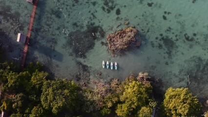 Four people in swimsuits stretch and practice sunrise yoga on stand up paddle boards on the turquoise waters of Bacalar's Laguna de las 7 Colores in Quintana Roo Mexico. Wide orbiting drone shot.