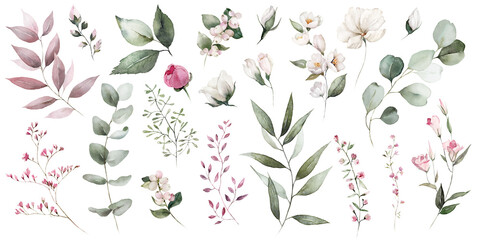 Fototapeta Watercolor floral illustration bouquet set - green leaves, pink peach blush white flowers branches. Wedding invitations, greetings, wallpapers, fashion, prints. Eucalyptus, olive, peony, rose. obraz