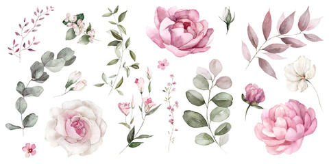 Watercolor floral illustration elements set - green leaves, pink peach blush white flowers, branches. Wedding invitations, greetings, wallpapers, fashion, prints. Eucalyptus, olive, peony, rose. - 566865697