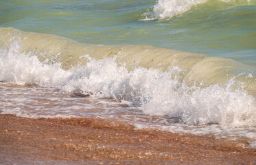Fototapeta premium Soft wave of the sea on the sandy beach.