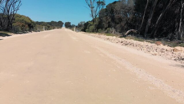 Kangaroo Island Forest Road surrounded by tall trees on both sides of the road
