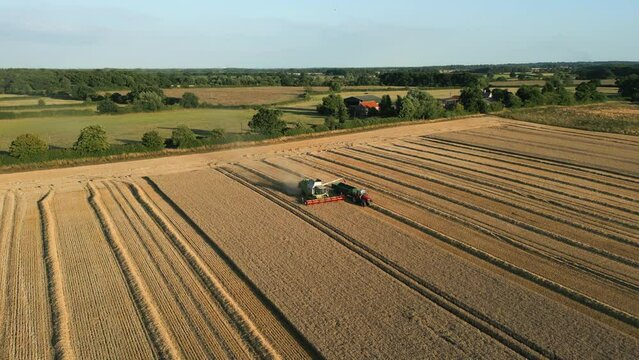 Establishing Drone Shot of Claas Combine Harvester Unloading Grain to Tractor with Trailer at Golden Hour whilst Harvesting UK