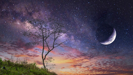 Fototapeta na wymiar Death tree and sky with moon and stars
