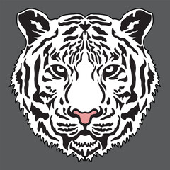 white tiger head vector illustration