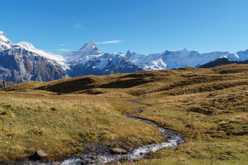 Alpine stream meanders through the landscape above the treeline with snowy peaks in the distance
