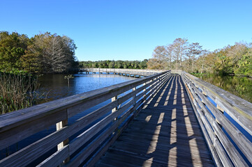 Elevated boardwalk at Green Cay Nature Center and Wetlands in Boynton Beach, Florida on clear cloudless sunny morning.