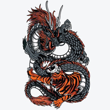 Dragon Vs Tiger Illustration