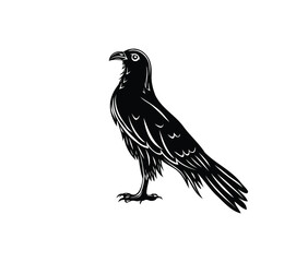 Fototapeta premium Eagle Standing Silhouette, art vector design