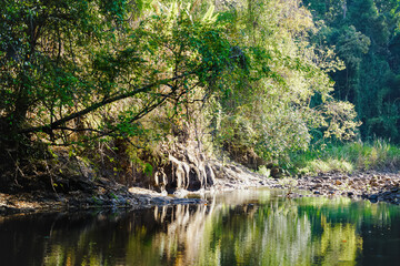Bu Gia Map national park in Binh Phuoc province, Vietnam, one of the favorite adventure forest trekking sites