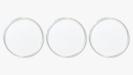 Set of petri dishes on a light background.